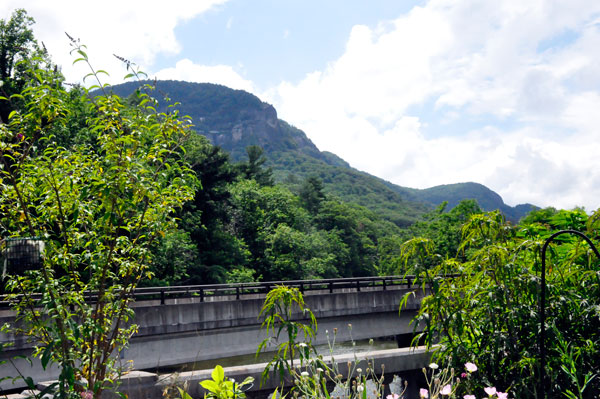 Rocky Broad River Bridge